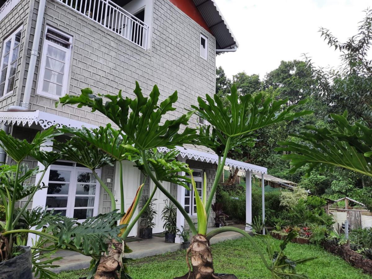 Aaravi Garden Homestay Kalimpong Zewnętrze zdjęcie